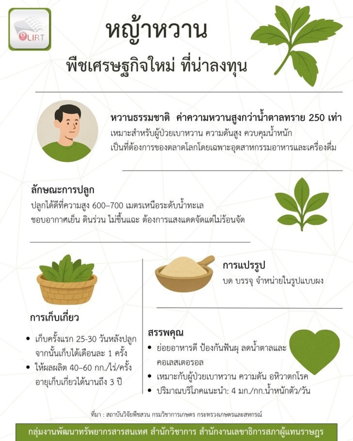 หญ้าหวาน