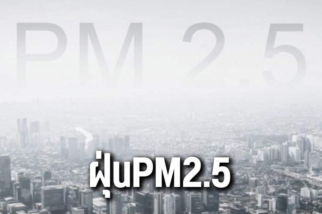 ฝุ่นPM2.5
