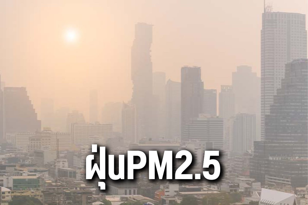 ฝุ่นPM2.5