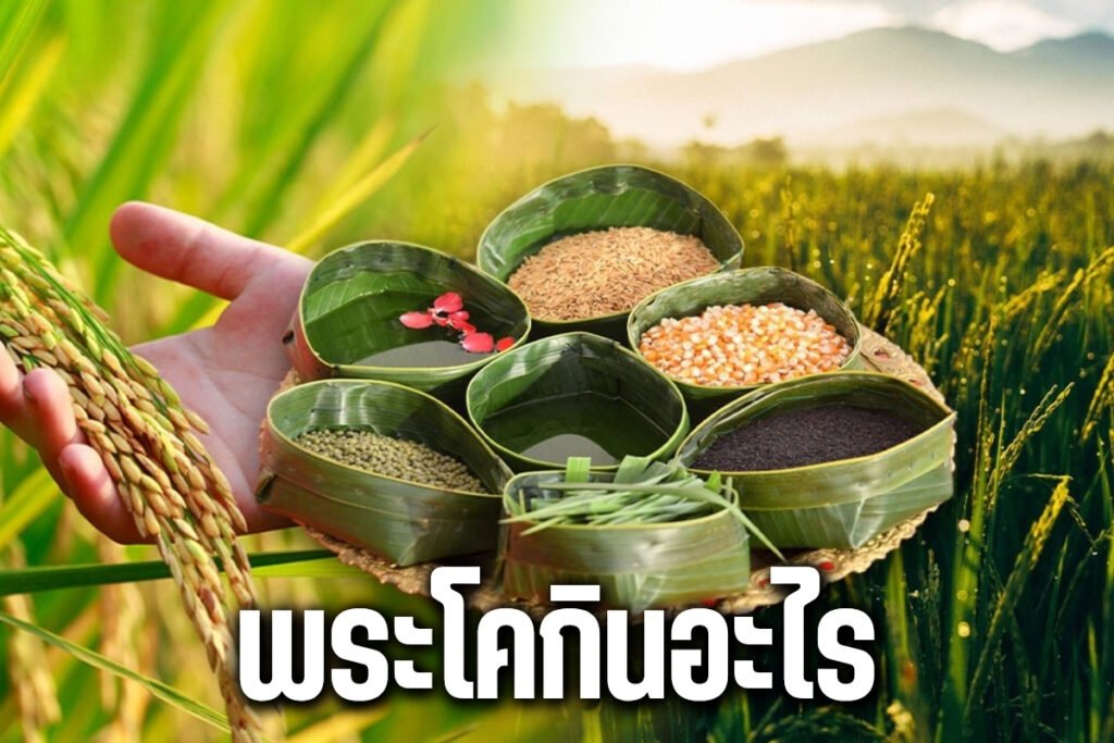 พระโคกินอะไร
