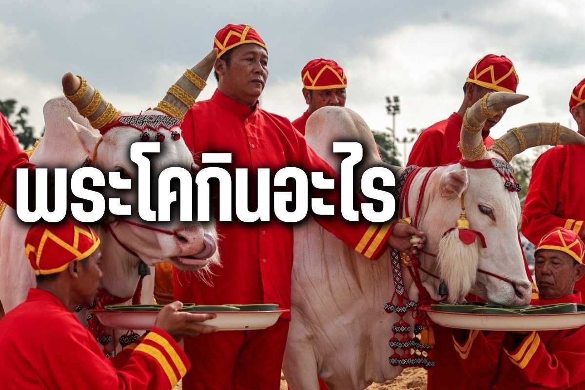 พระโคกินอะไร